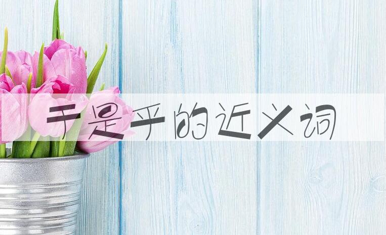 用于是乎造句