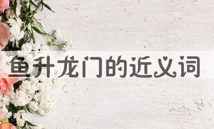 用鱼升龙门造句