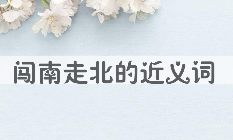 用闯南走北造句