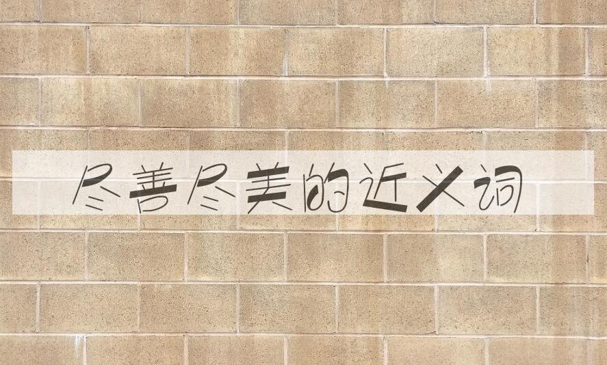 用尽善尽美造句