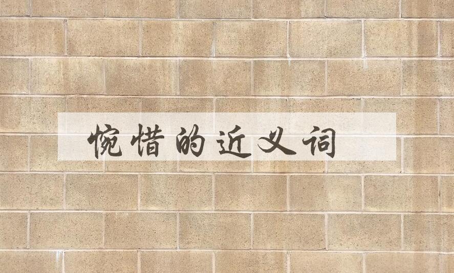 用惋惜造句