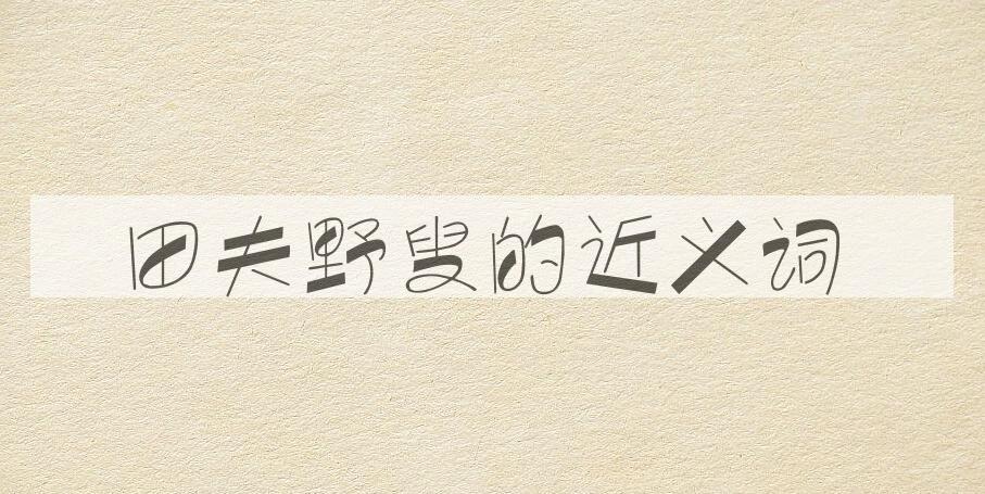 用田夫野叟造句