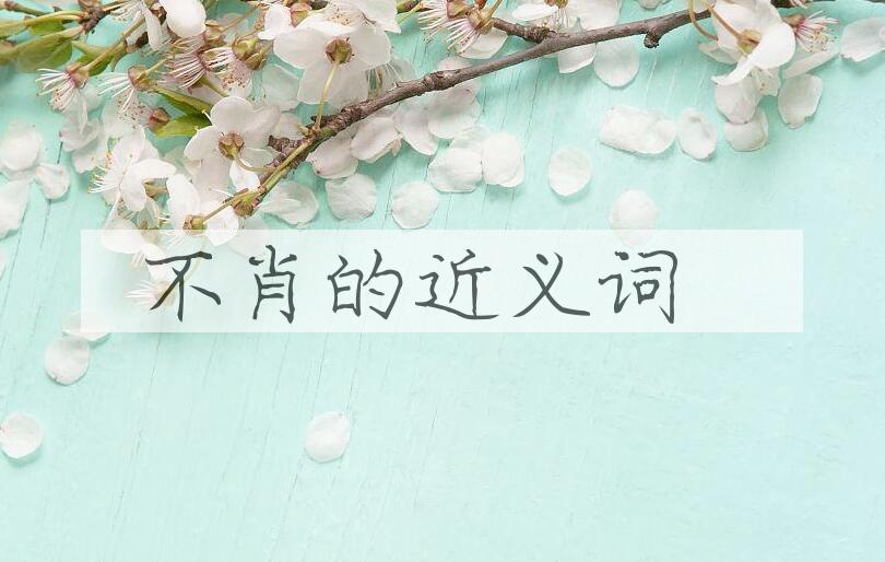 用不肖造句