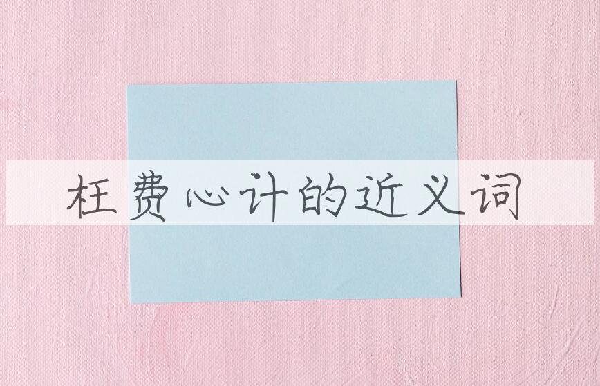 用枉费心计造句