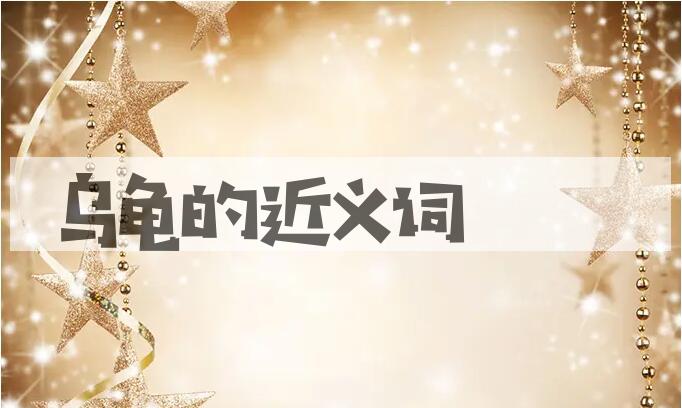 用乌龟造句