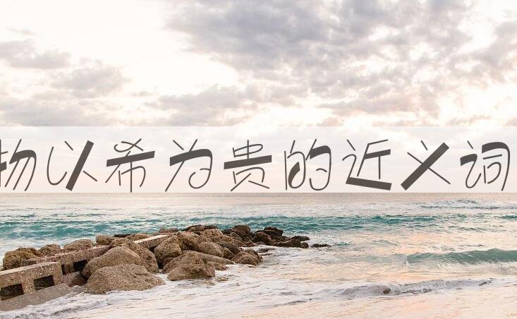 用物以希为贵造句