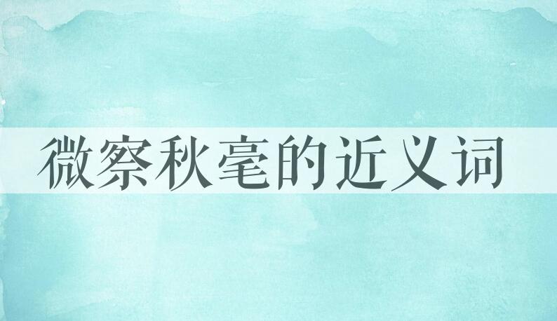 用微察秋毫造句