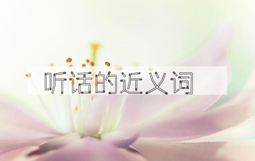 用听话造句