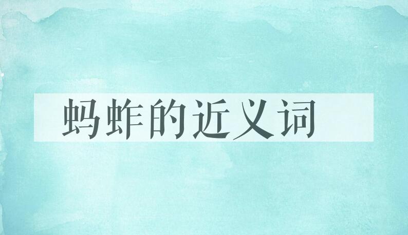 用蚂蚱造句