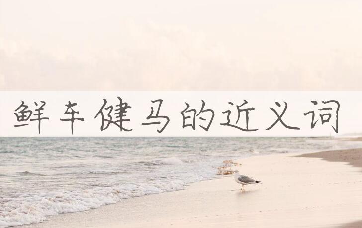 用鲜车健马造句