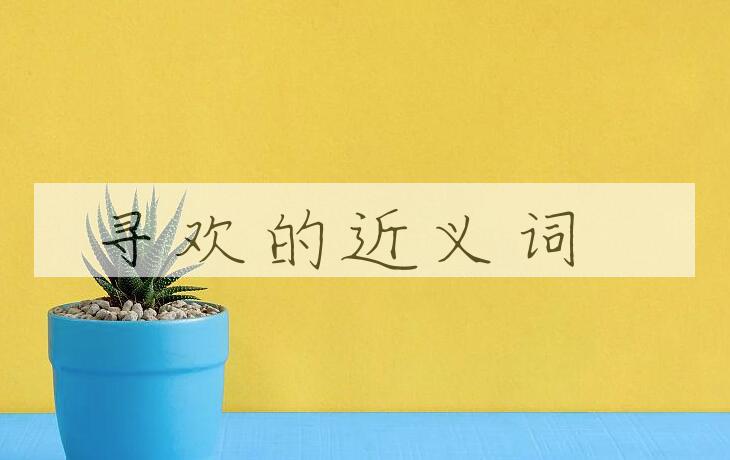 用寻欢造句