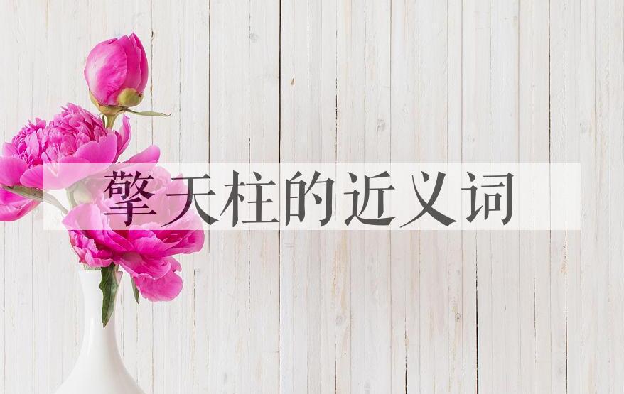 用擎天柱造句