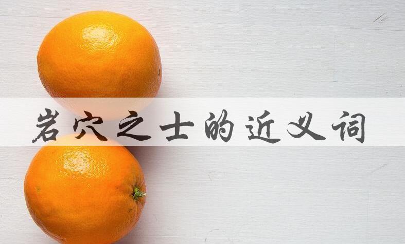 用岩穴之士造句