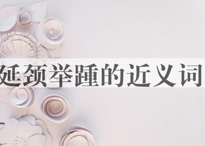 用延颈举踵造句