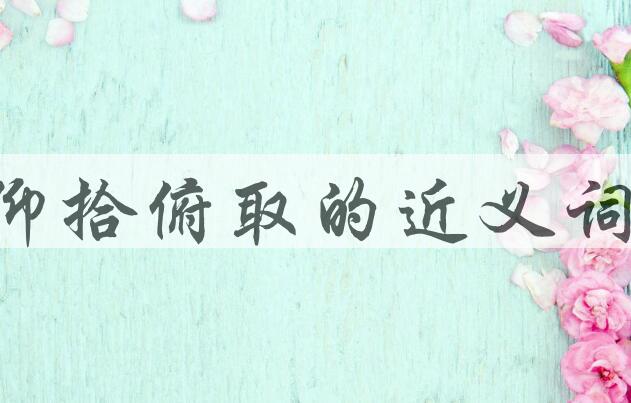 用仰拾俯取造句