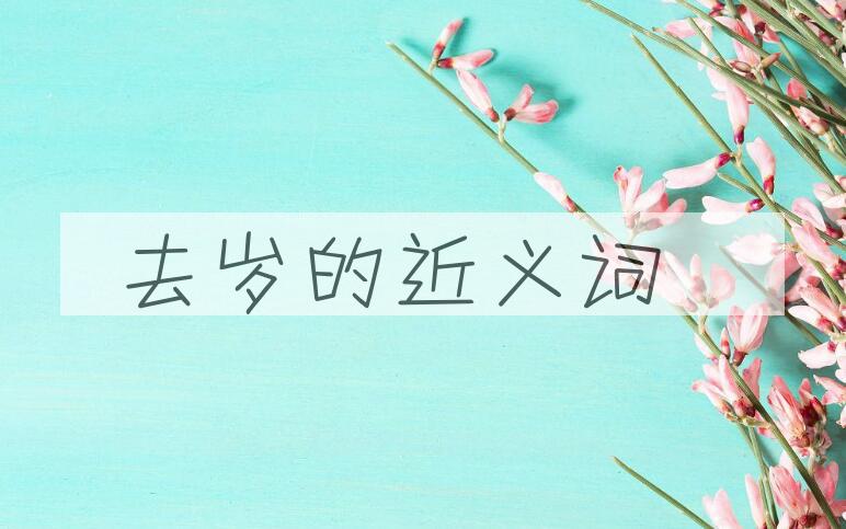 用去岁造句