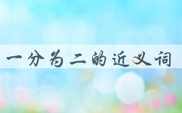 用一分为二造句