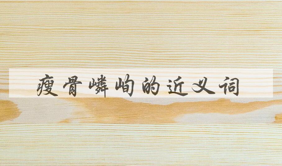 用瘦骨嶙峋造句
