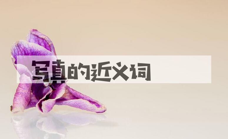 用写真造句