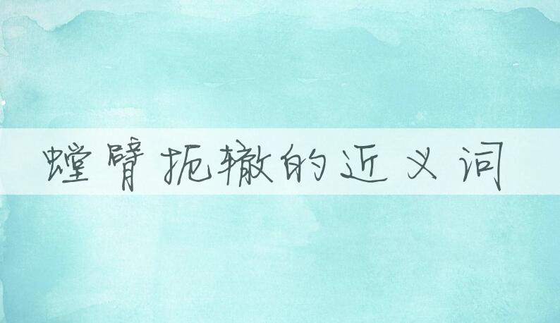 用螳臂扼辙造句