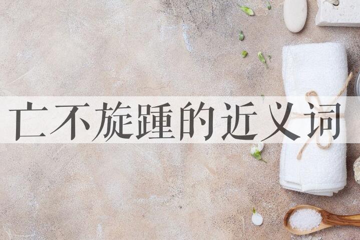 用亡不旋踵造句