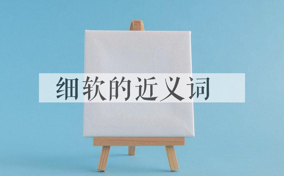 用细软造句
