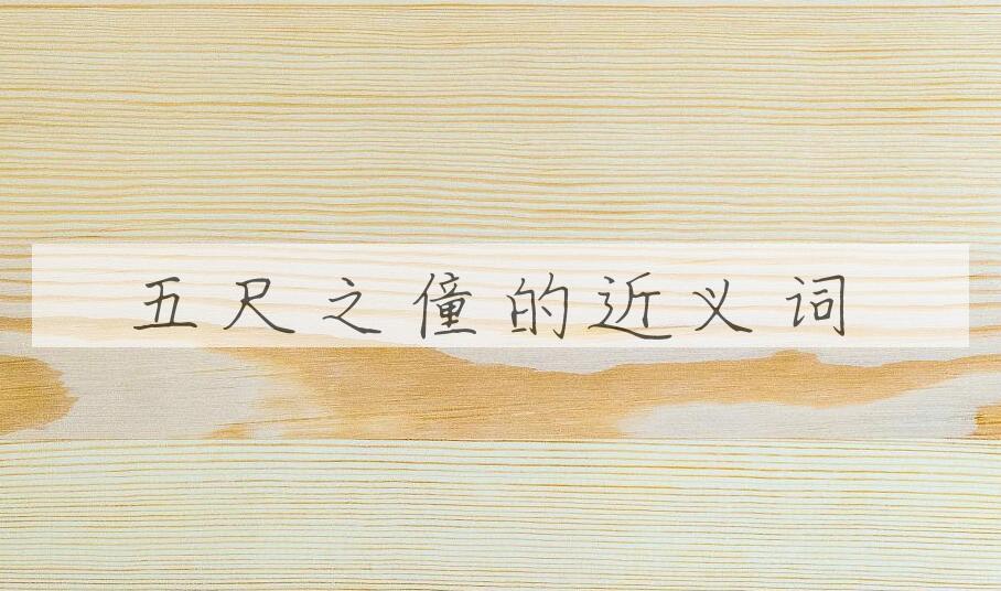 用五尺之僮造句