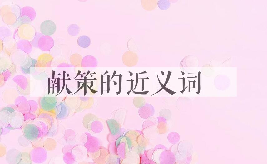 用献策造句