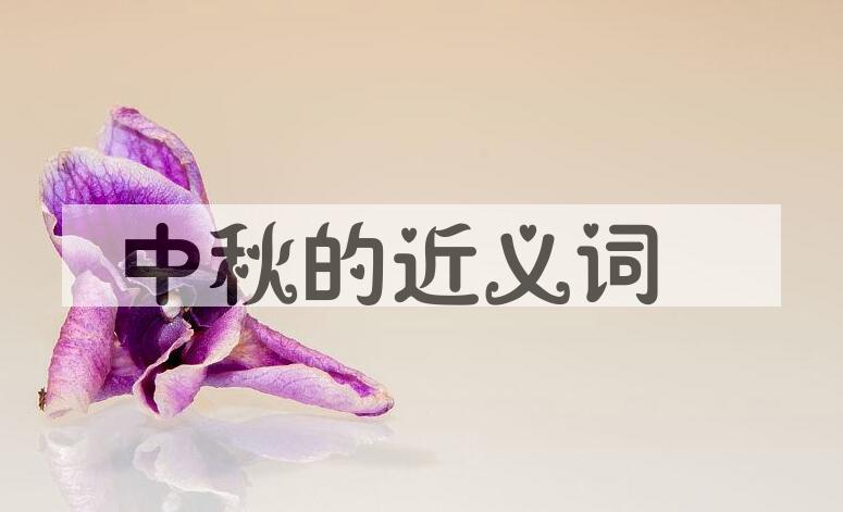 用中秋造句
