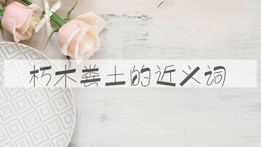 用朽木粪土造句