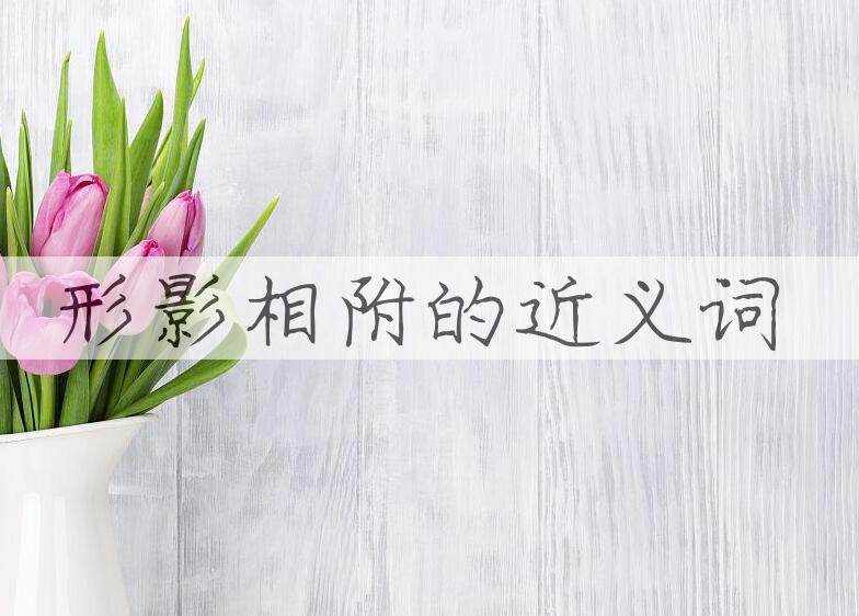 用形影相附造句