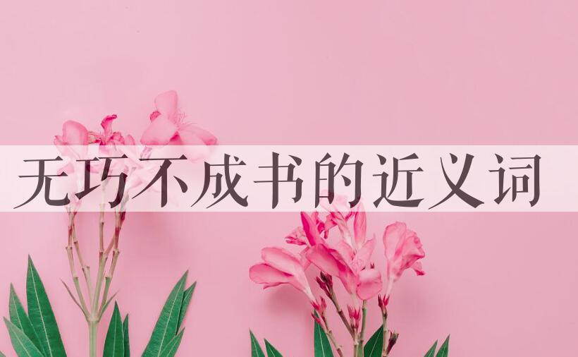 用无巧不成书造句