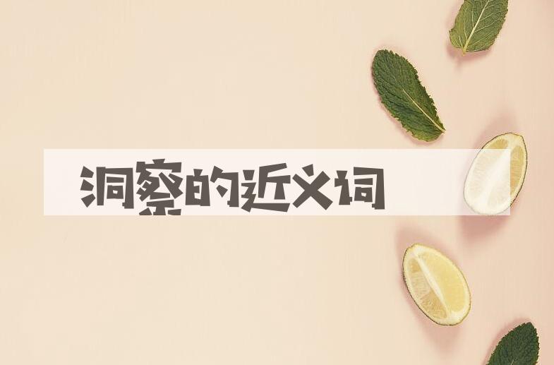 用洞察造句