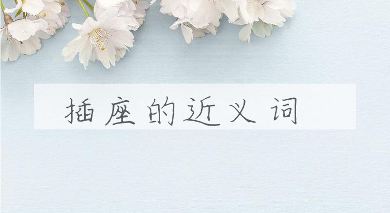 用插座造句