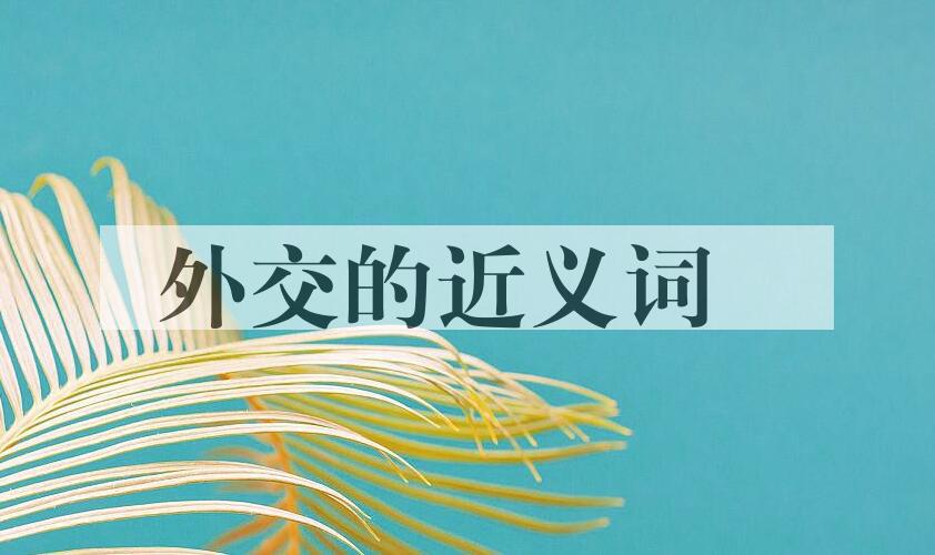 用外交造句