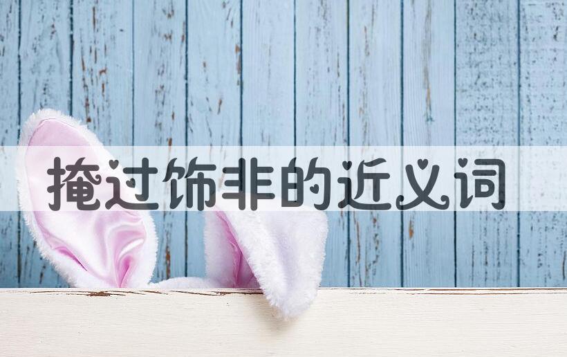 用掩过饰非造句