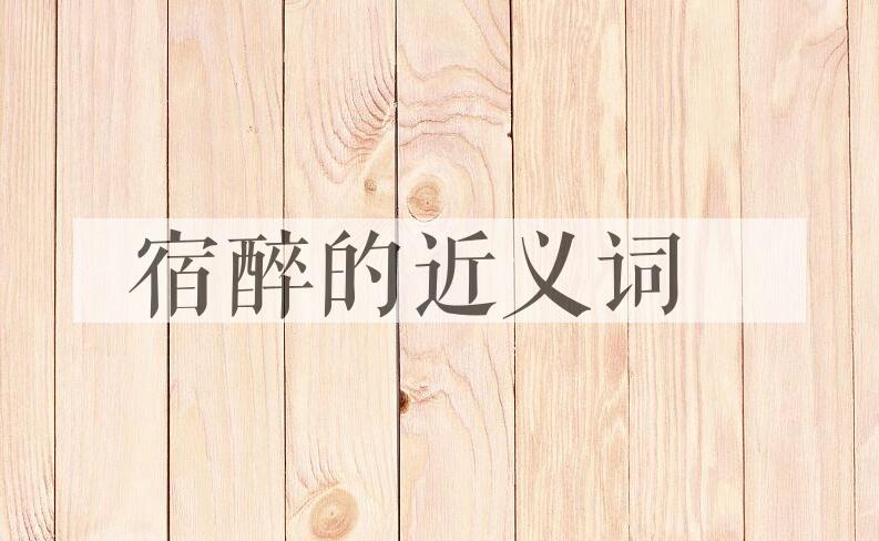 用宿醉造句
