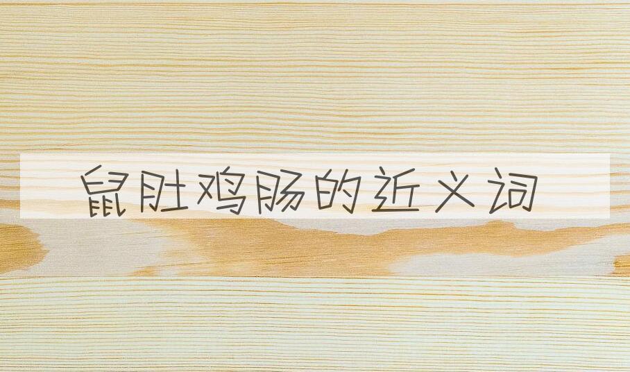 用鼠肚鸡肠造句