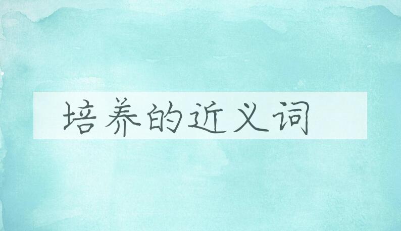 用培养造句