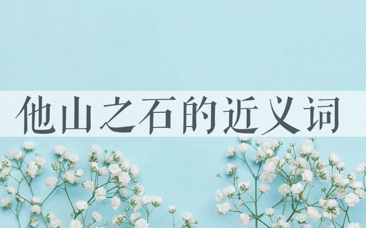 用他山之石造句