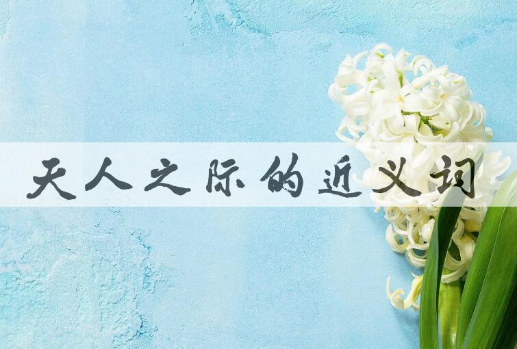 用天人之际造句