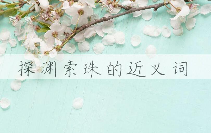 用探渊索珠造句