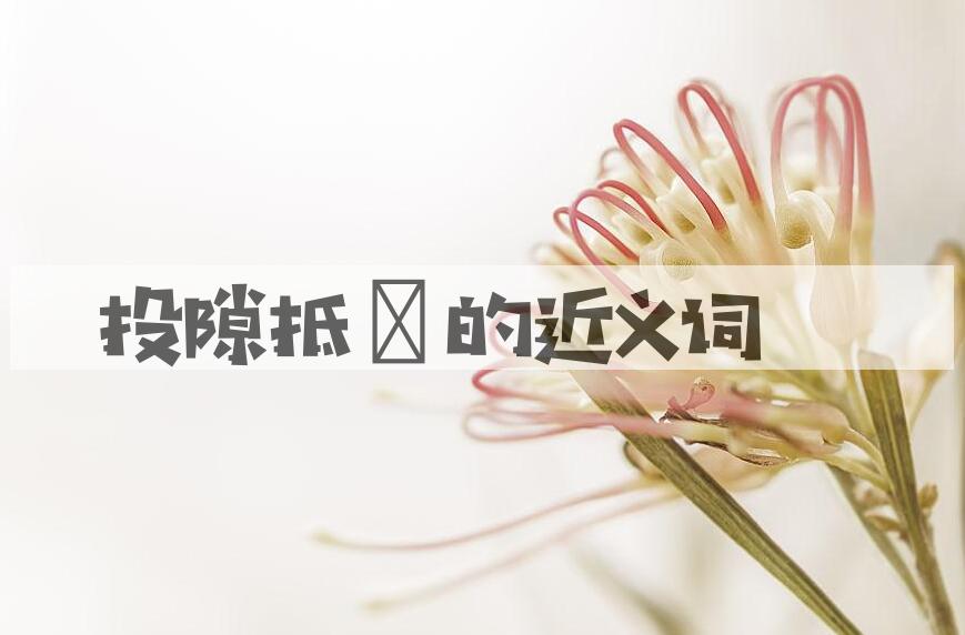 用投隙抵巇造句