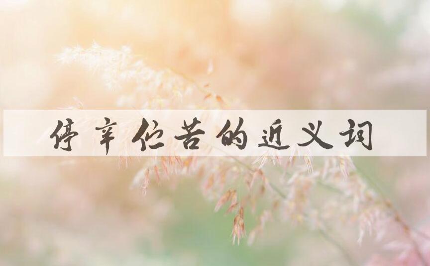 用停辛伫苦造句