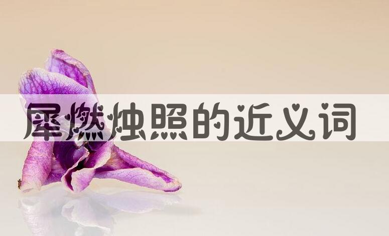 用犀燃烛照造句