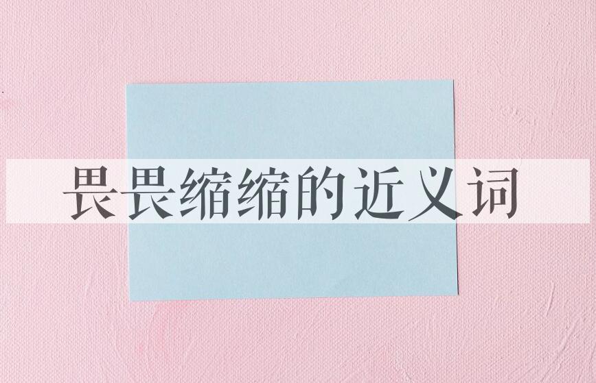 用畏畏缩缩造句