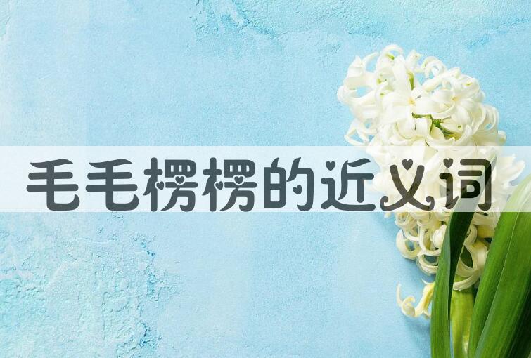 用毛毛楞楞造句