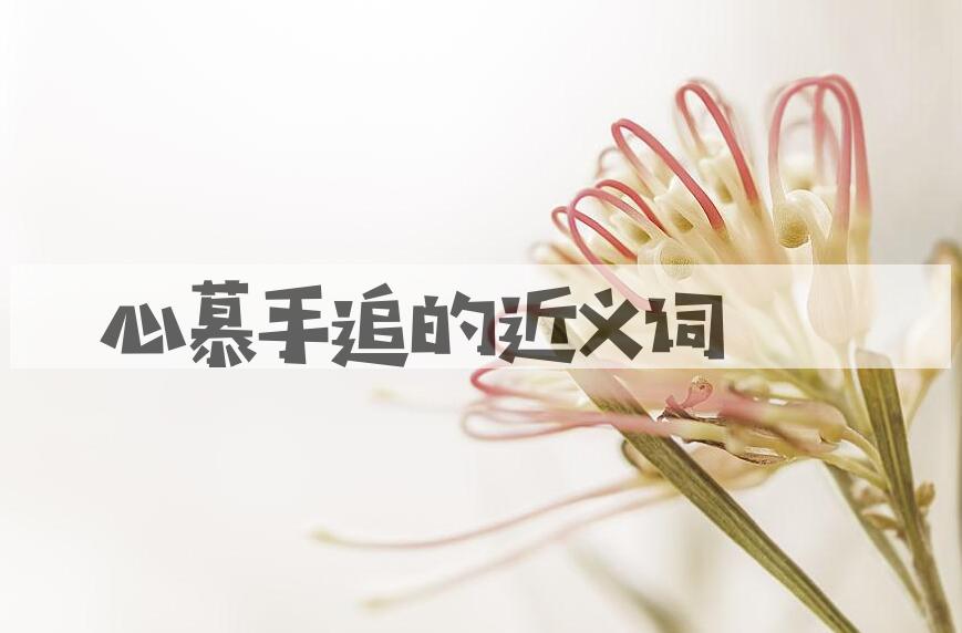 用心慕手追造句