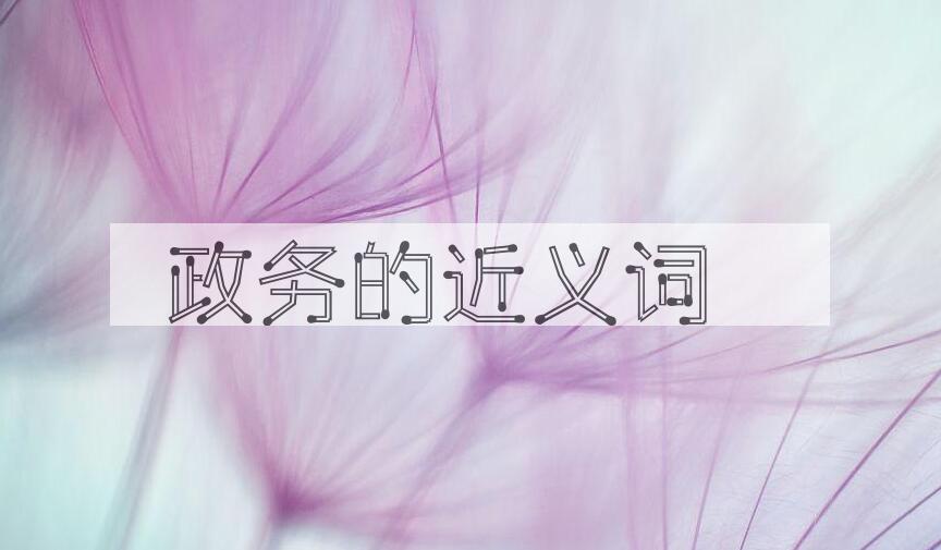 用政务造句