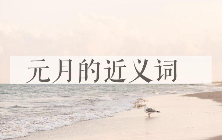 用元月造句